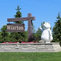 welcome to wiarton